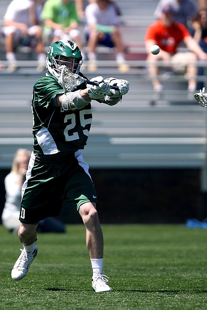 研和资料审 研和资料审